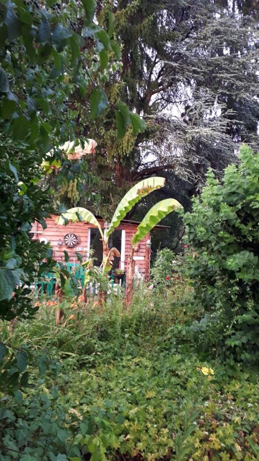 Le Jardin Des Merveilles Saint-Pierre-d'Autils Bagian luar foto